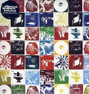 Chemical Brothers - Brotherhood – 2 LP