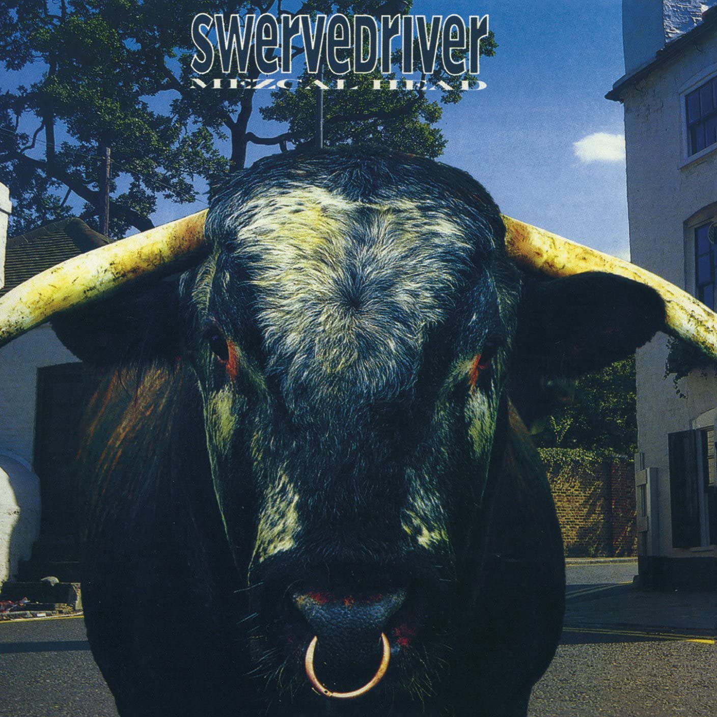Swervedriver - Mezcal Head
