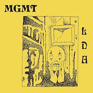 MGMT - Little Dark Age – 2 LP