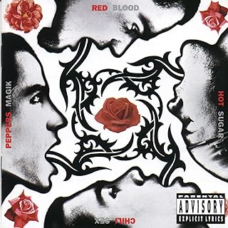 Red Hot Chilli Peppers - Blood Sugar Sex Magik – 2 LP