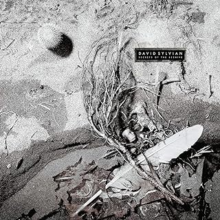 David Sylvian - Secrets Of The Beehive
