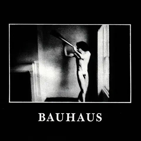 Bauhaus - In The Flat Field – LP + CD