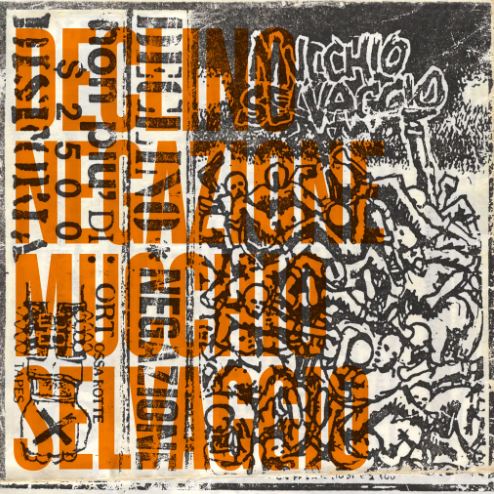 Declino / Negazione - Mucchio Selvaggio - 40th Anniversary Edition