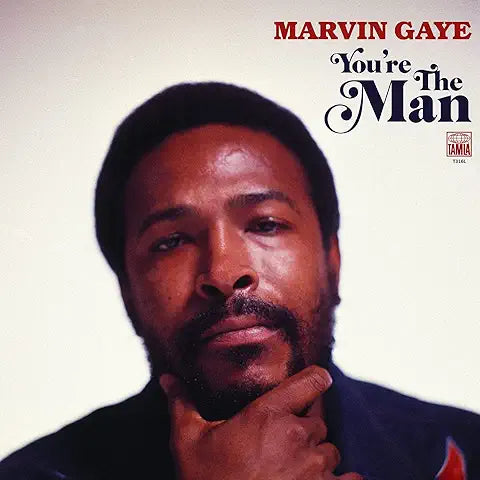 Marvin Gaye - You're the Man – 2 LP