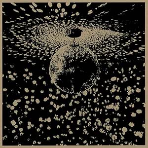 Neil Young & Pearl Jam - Mirror Ball – 2 LP