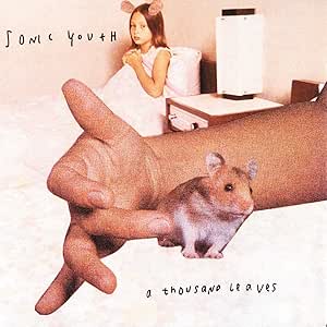 Sonic Youth - Thousand Leaves – 2 LP
