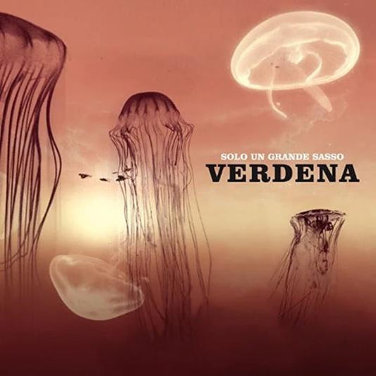 Verdena - Solo un grande Sasso – 2 LP