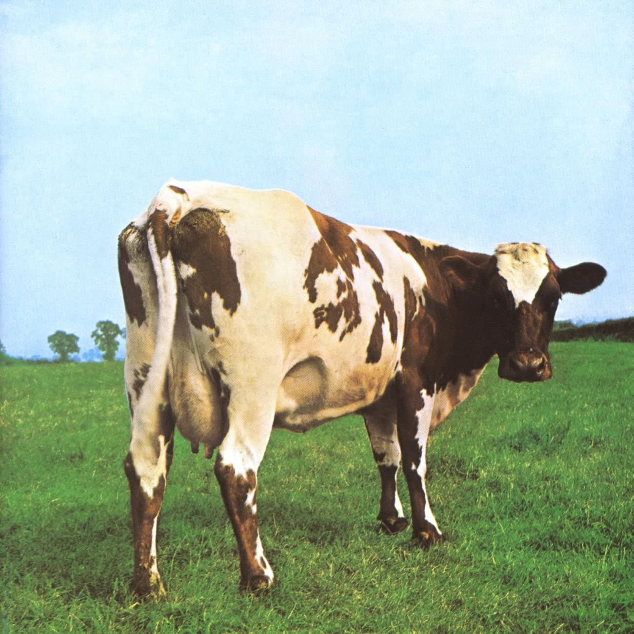 Pink Floyd - Atom Hearth Mother