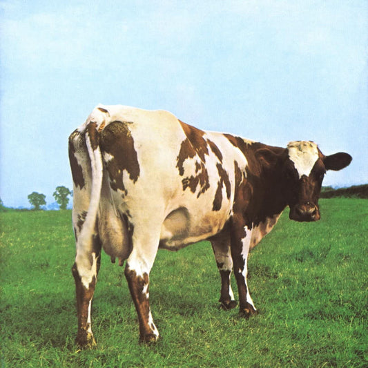 Pink Floyd - Atom Hearth Mother