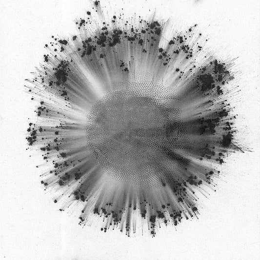 Trentemoller - Observe – 2 LP Black and White Vinyl